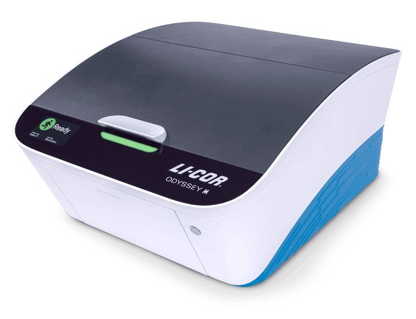 LI-COR Odyssey M imaging system