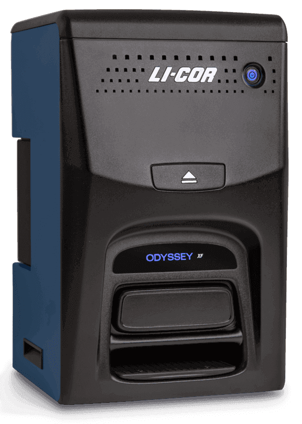 Odyssey XF