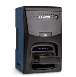 Odyssey XF imager