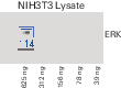 Performance differences of a blot when the same blot is imaged over time