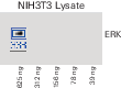 Performance differences of a blot when the same blot is imaged over time