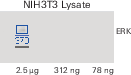 Comparing the performance of different substrate volumes