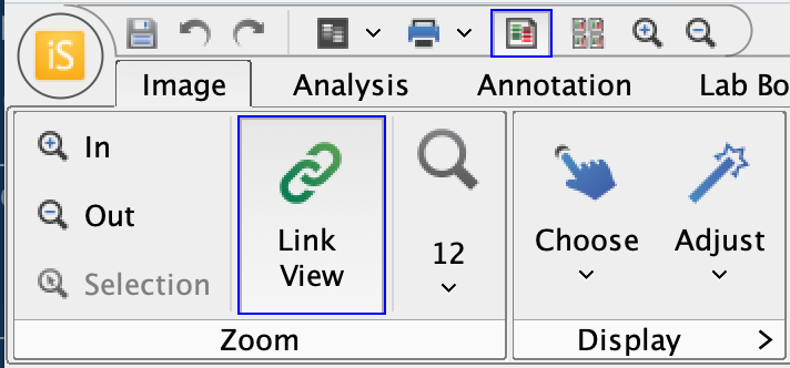 Image ribbon with Link View option introduced in Image Studio 6.2 toggled on.