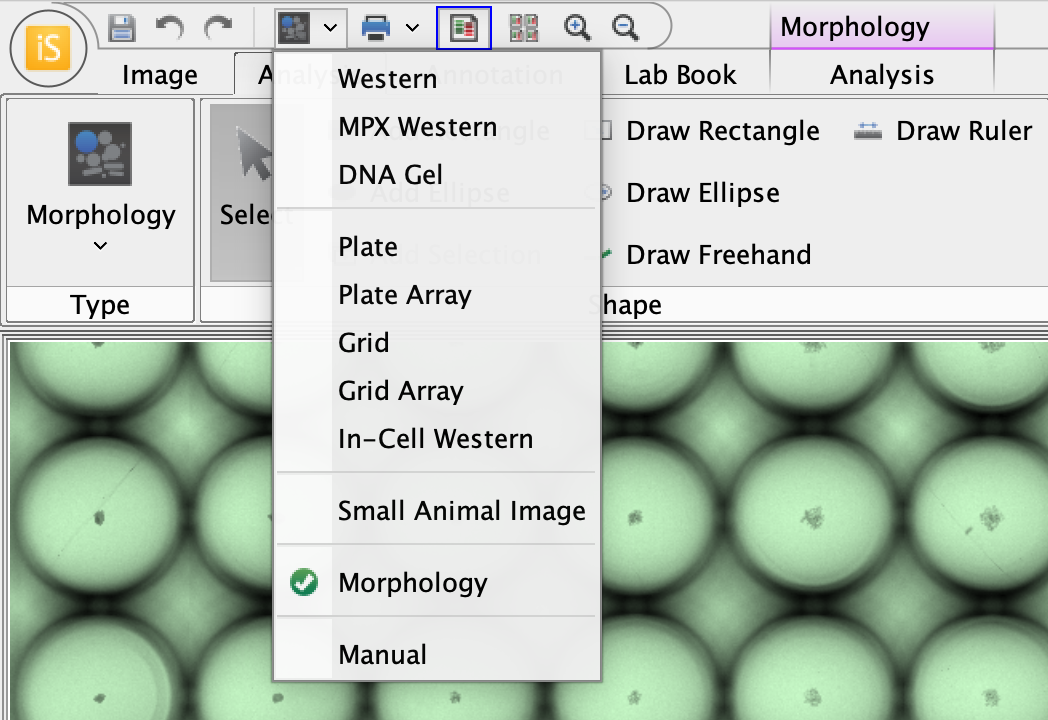 Morphology Analysis chosen from the Quick Launch Toolbar.