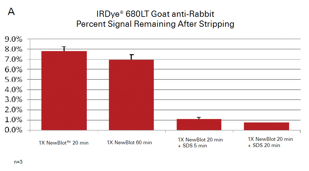 Newblot PVDF signal after stripping 