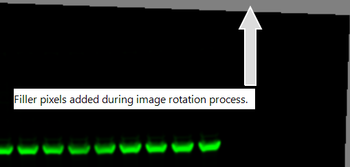 Quantification Warning