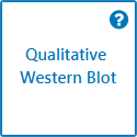 Empiria Studio select qualitative Western blot