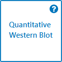 Empiria Studio select quantitative Western blot
