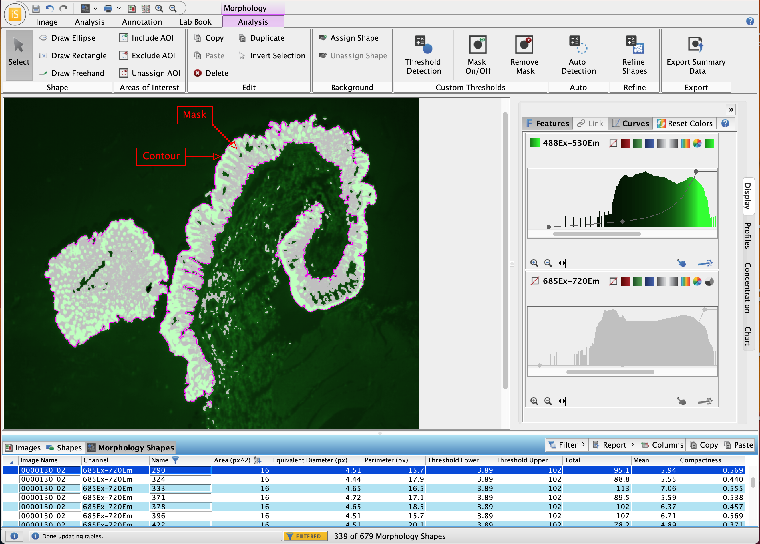 Morphology Analysis ribbon used to measure Area, Perimeter, Equivalent Diameter, Major Axis, Minor Axis, Centroid, and Circularity of spheroids from a 96 well plate.