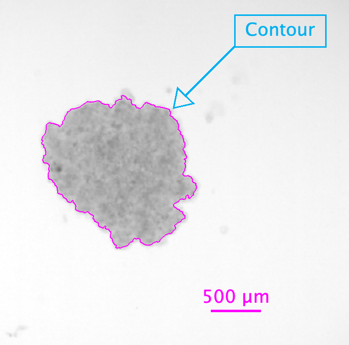 Contour drawn around spheroid in Image Studio.