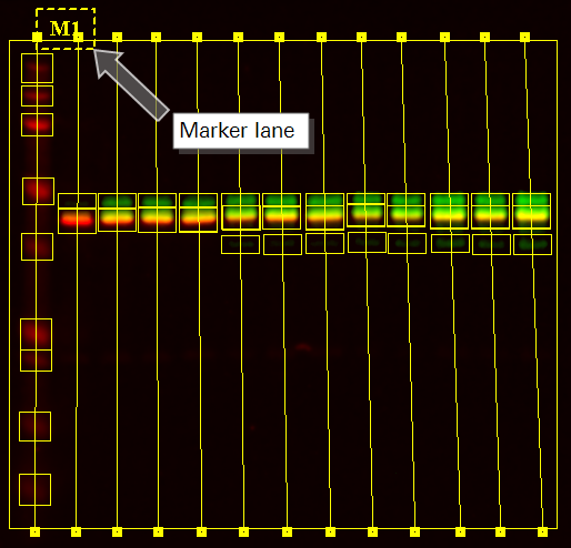 Western Analysis with a Marker Lane Selected and pointed out
