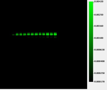 Green Color bar next to 800 channel Western Blot image